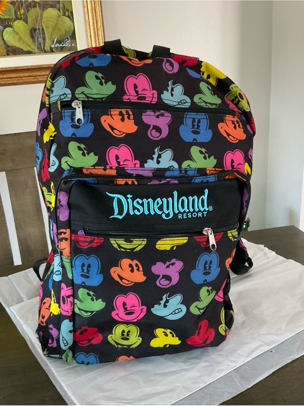 Disneyland Resort Mickey Mouse Faces Backpack Rainbow Embroidered Multicolor Zip - Picture 2 of 12